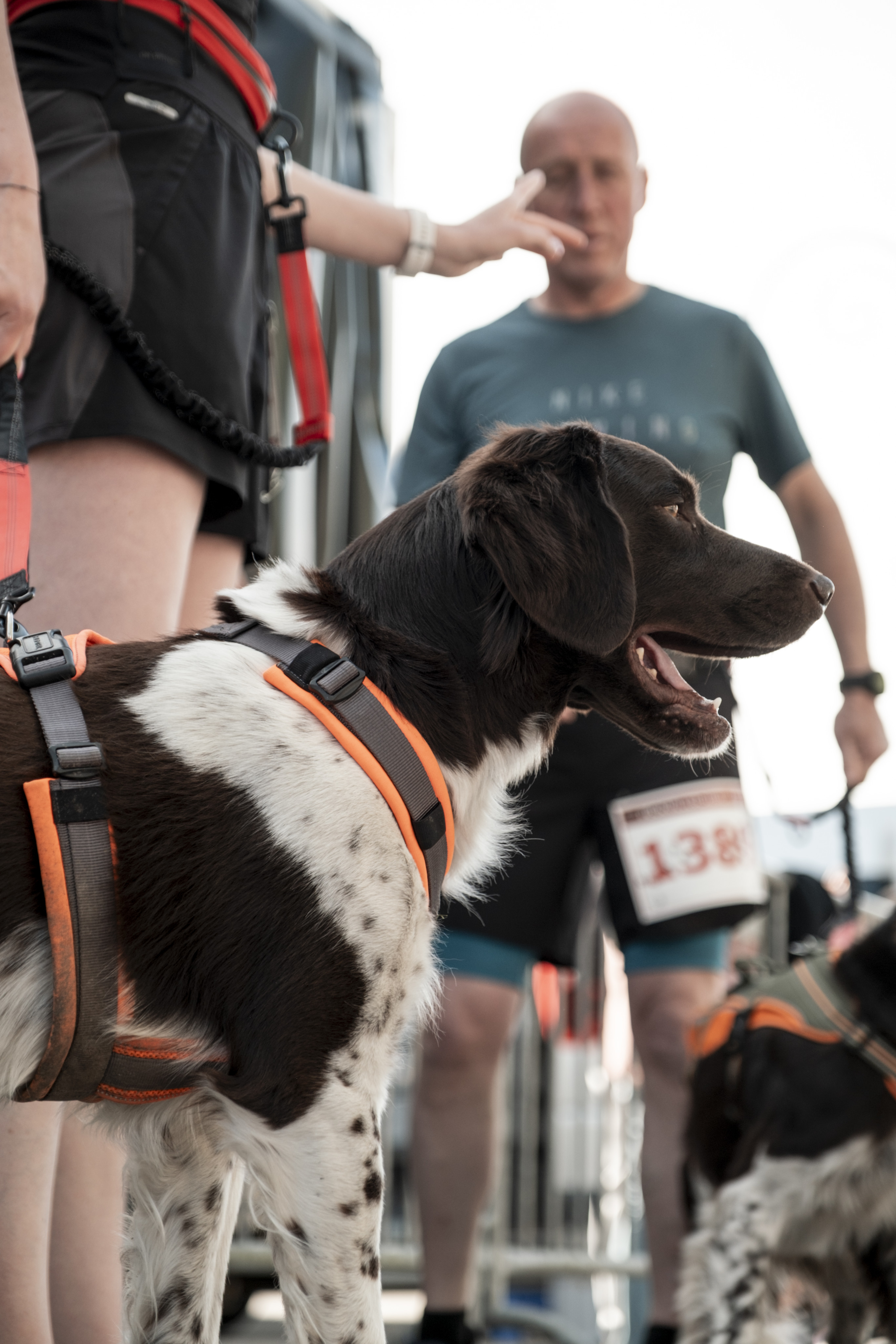 20250427_Pec_Laf_MS_V01_17