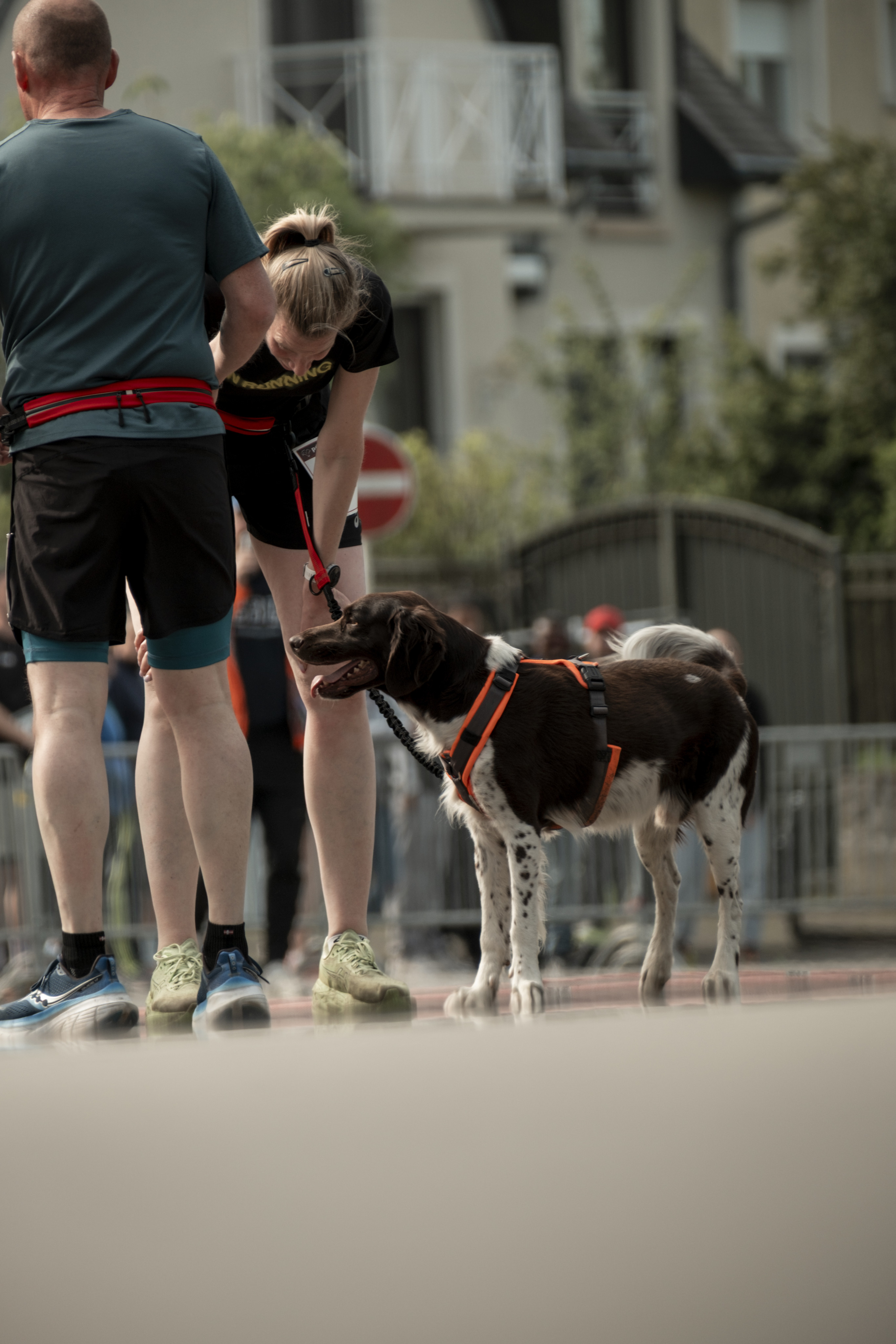 20250427_Pec_Laf_MS_V01_25