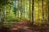 AdobeStock_125932483