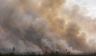 forest fires